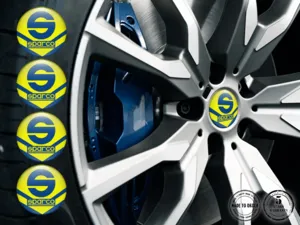 Sparco Individuelle Dome Aufkleber Premium Radlabels